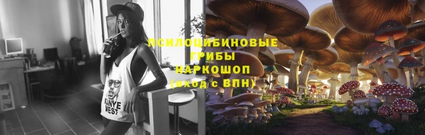 прущие крисы Михайлов
