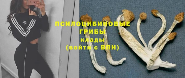 прущие крисы Михайлов