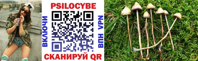 Галлюциногенные грибы Magic Shrooms  что такое наркотик  Электроугли 